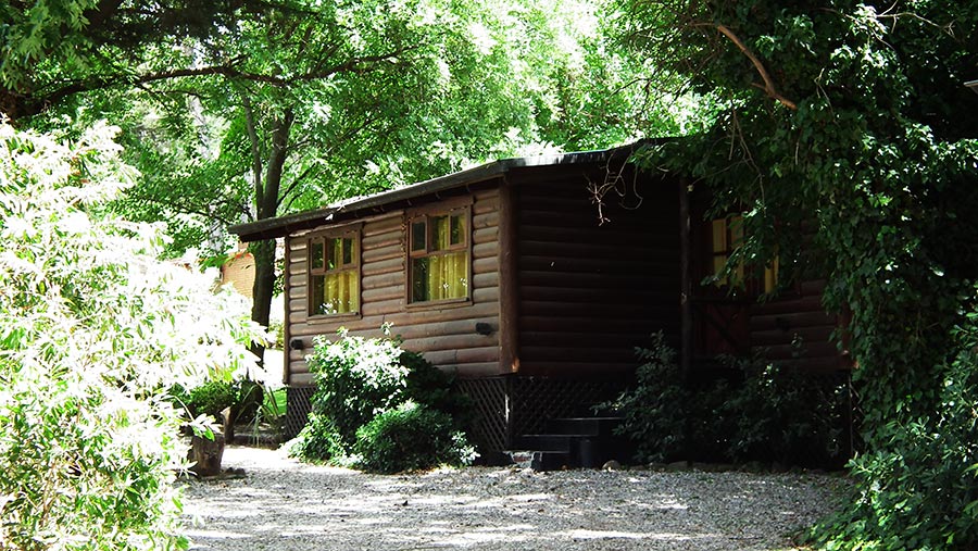 Habitación de Troncos